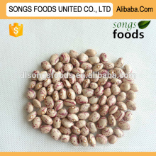 Bag Packaging and Pinto or Mottled Beans